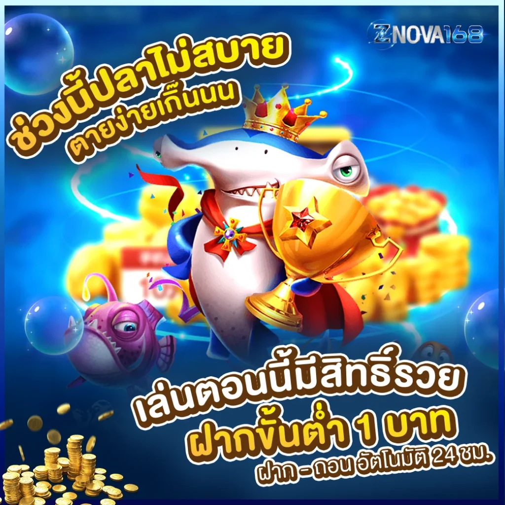 ZNOVA168